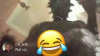 upload_2017-1-9_14-54-57.png