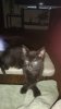 IMG_20170503_142441.jpg