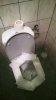 WP_20170904_033.jpg