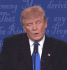 upload_2023-8-22_20-36-29.gif