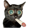 :catsmoking: