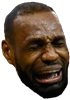 :bronbron: